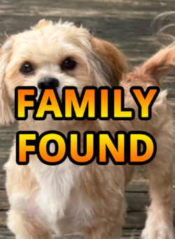 Screenshot Screenshot